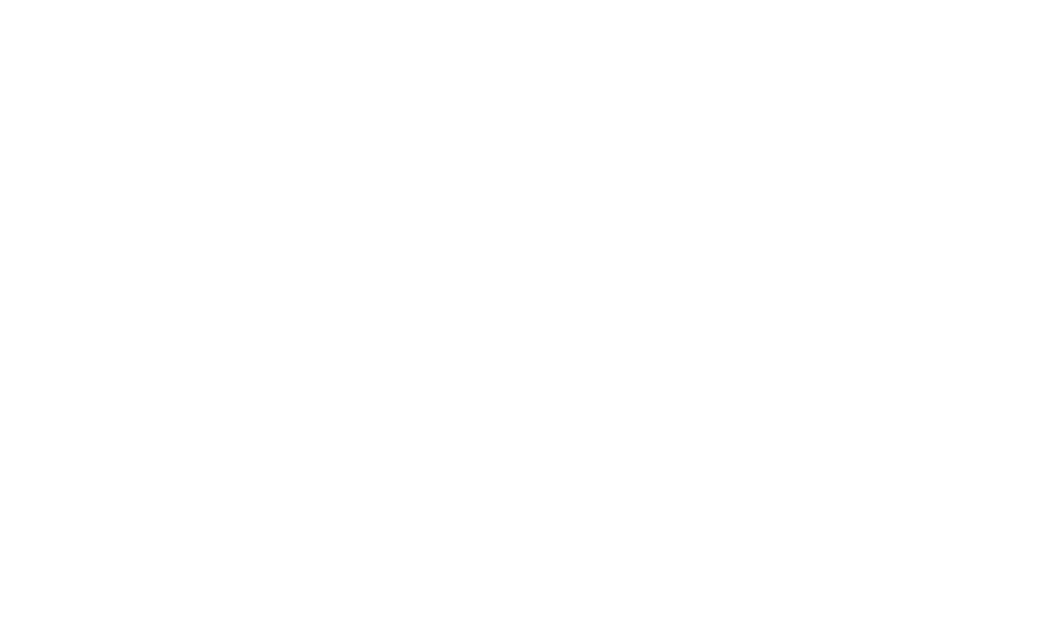 Logo Hidden Nest
