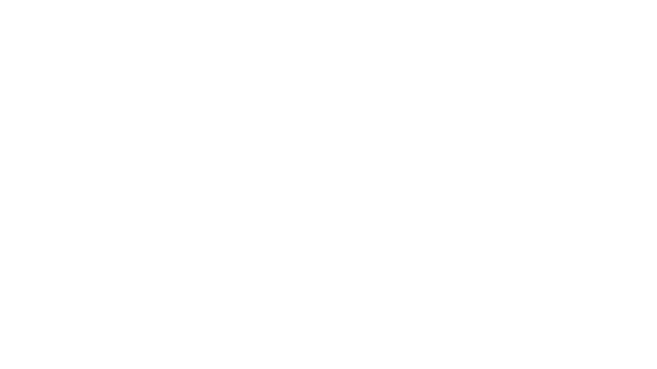 Logo Hidden Nest